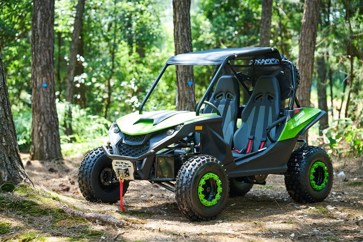 Багги UTV PROMAX Ranger 250