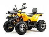 Квадроциклы Квадроциклы
